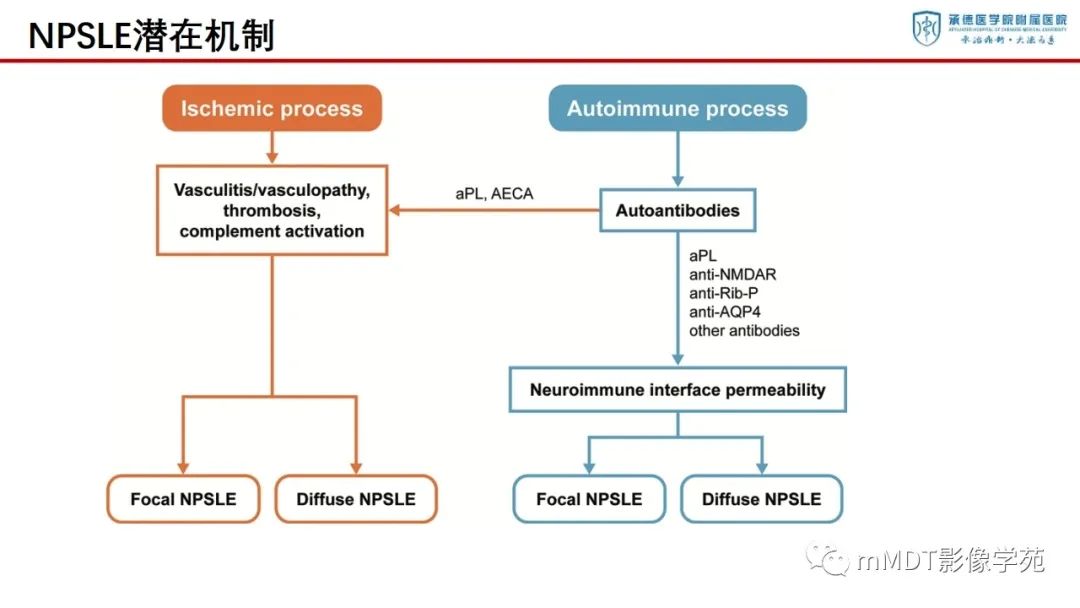 影像PPT - 【PPT】狼疮脑病的影像诊断-7