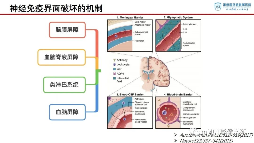 影像PPT - 【PPT】狼疮脑病的影像诊断-10
