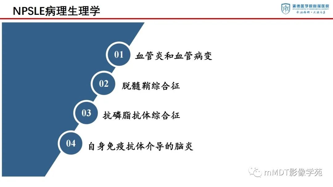 影像PPT - 【PPT】狼疮脑病的影像诊断-11