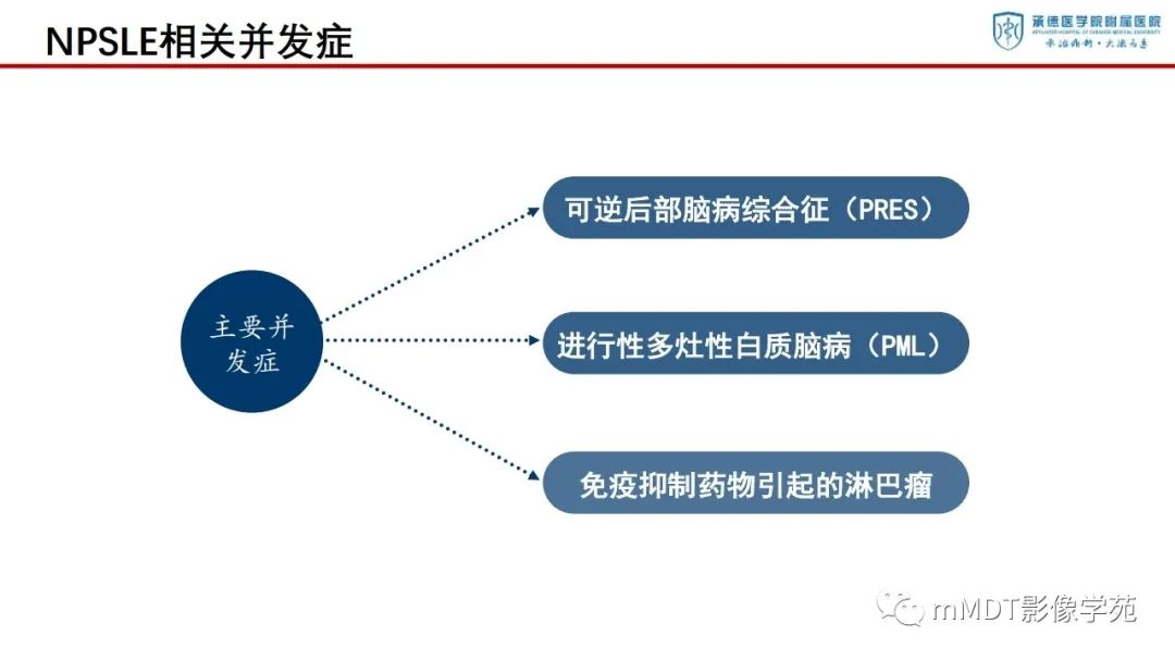 影像PPT - 【PPT】狼疮脑病的影像诊断-28
