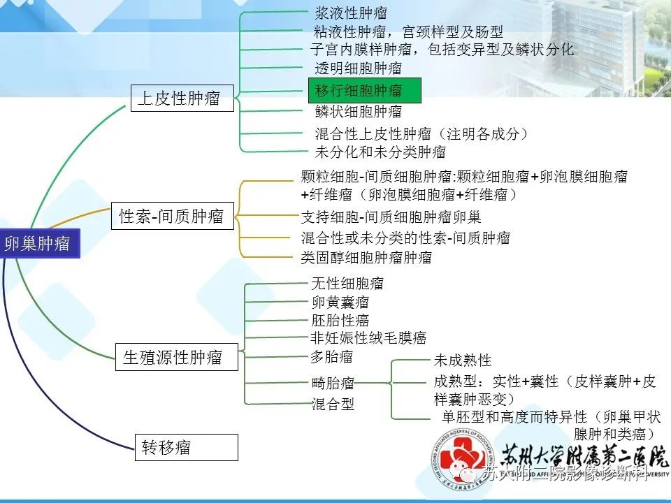影像PPT - 【病例】卵巢Brenner瘤3例CT及MR影像-22