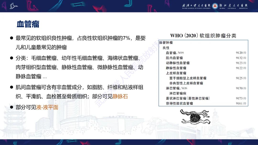 影像PPT - 【PPT】四肢血管源性肿瘤影像诊断-22