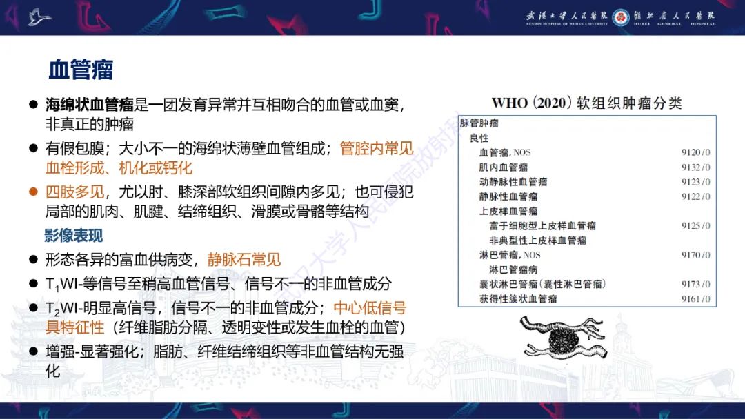 影像PPT - 【PPT】四肢血管源性肿瘤影像诊断-26