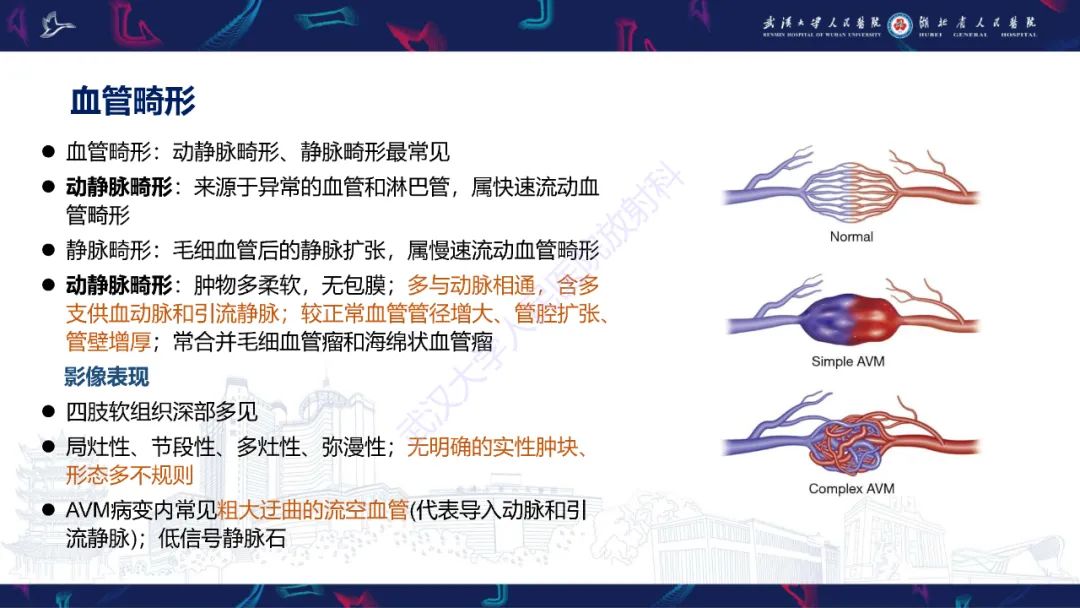 影像PPT - 【PPT】四肢血管源性肿瘤影像诊断-30