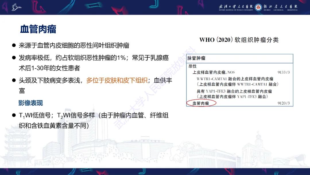影像PPT - 【PPT】四肢血管源性肿瘤影像诊断-41