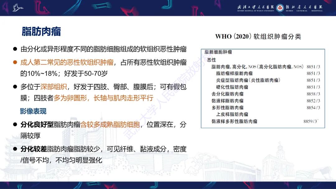 影像PPT - 【PPT】四肢血管源性肿瘤影像诊断-44