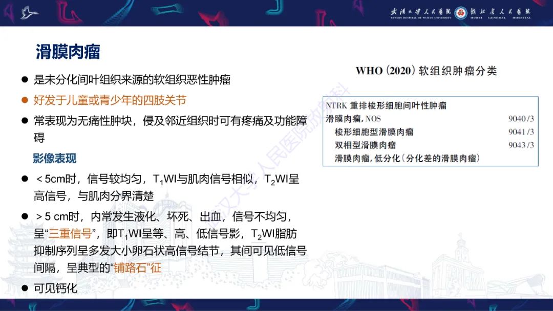 影像PPT - 【PPT】四肢血管源性肿瘤影像诊断-48