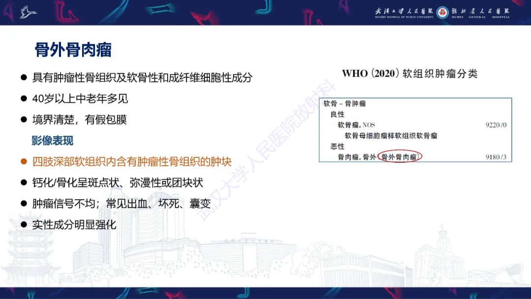 影像PPT - 【PPT】四肢血管源性肿瘤影像诊断-56