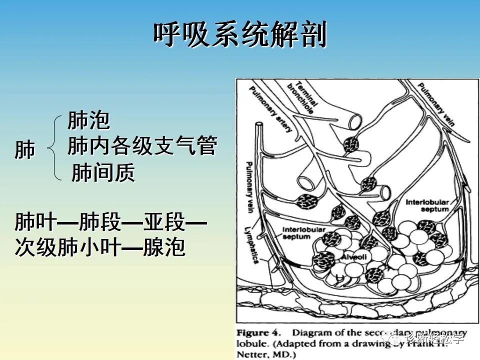 影像PPT - 【PPT】肺间质纤维化的影像表现-2