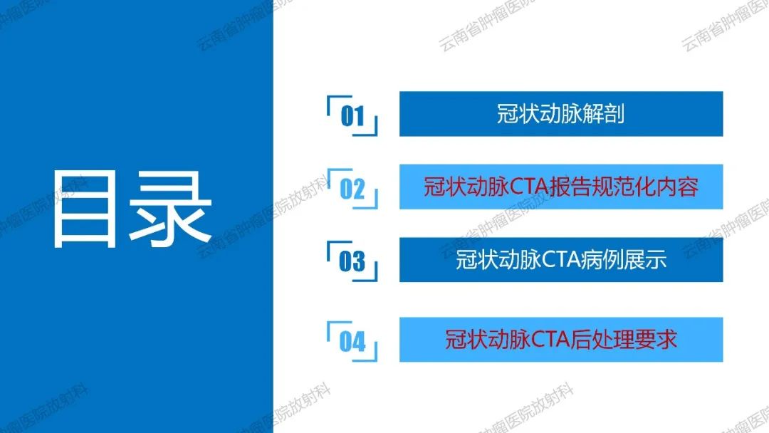影像PPT - 【PPT】冠状动脉CTA报告规范化及后处理要求-3