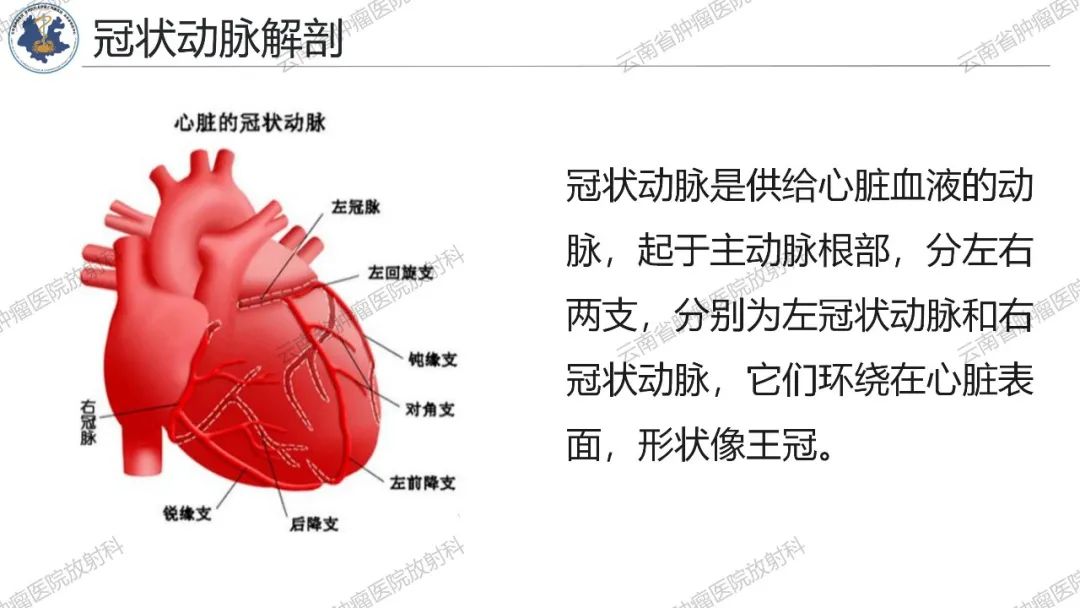影像PPT - 【PPT】冠状动脉CTA报告规范化及后处理要求-5