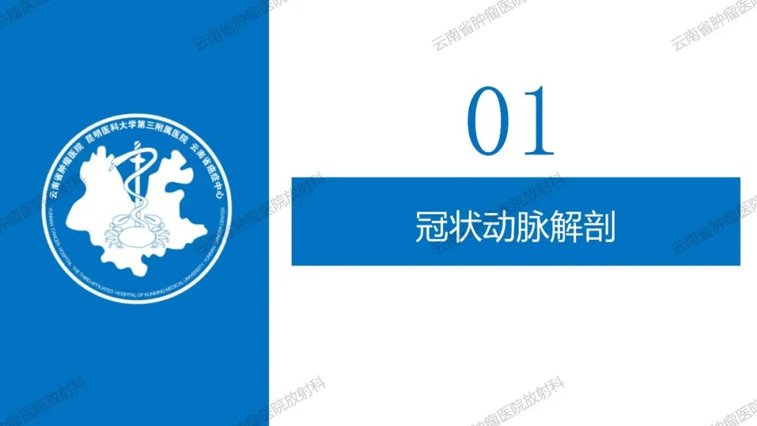 影像PPT - 【PPT】冠状动脉CTA报告规范化及后处理要求-4