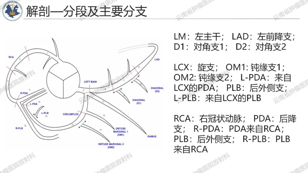 影像PPT - 【PPT】冠状动脉CTA报告规范化及后处理要求-6