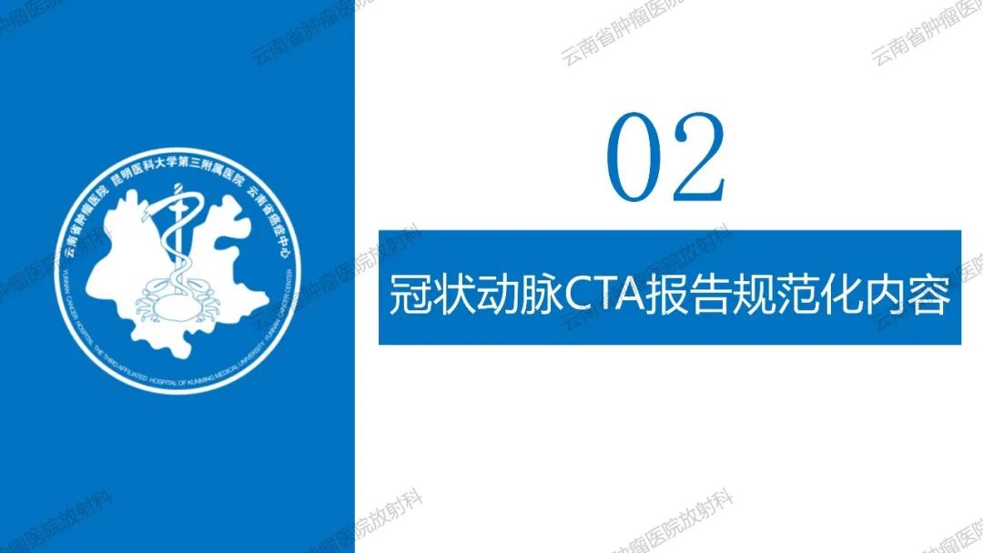 影像PPT - 【PPT】冠状动脉CTA报告规范化及后处理要求-10