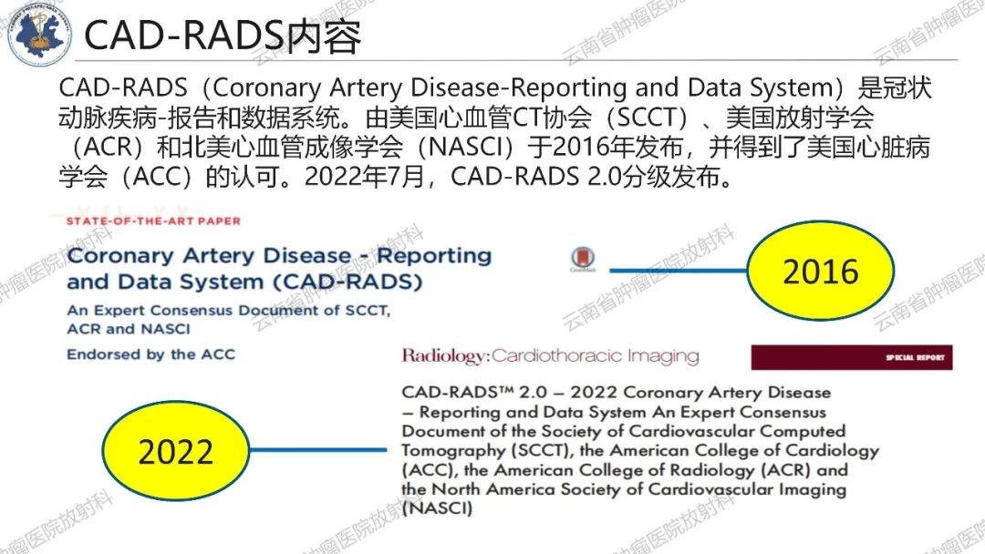 影像PPT - 【PPT】冠状动脉CTA报告规范化及后处理要求-11