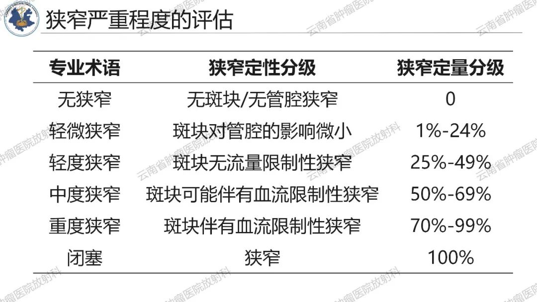 影像PPT - 【PPT】冠状动脉CTA报告规范化及后处理要求-13