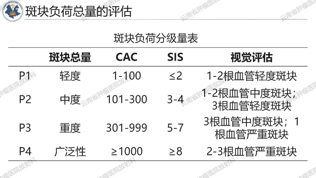 影像PPT - 【PPT】冠状动脉CTA报告规范化及后处理要求-18