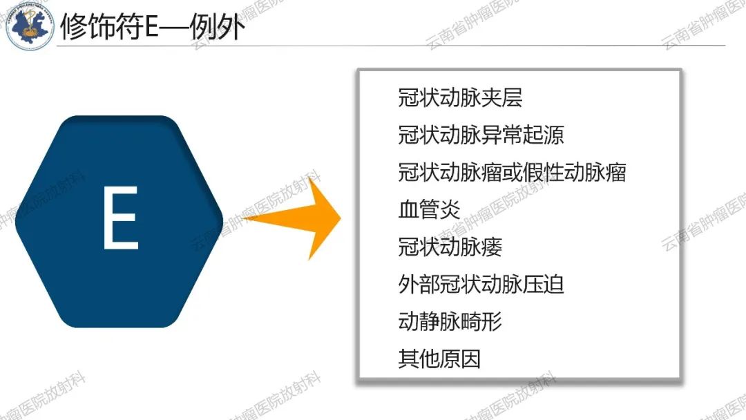 影像PPT - 【PPT】冠状动脉CTA报告规范化及后处理要求-29