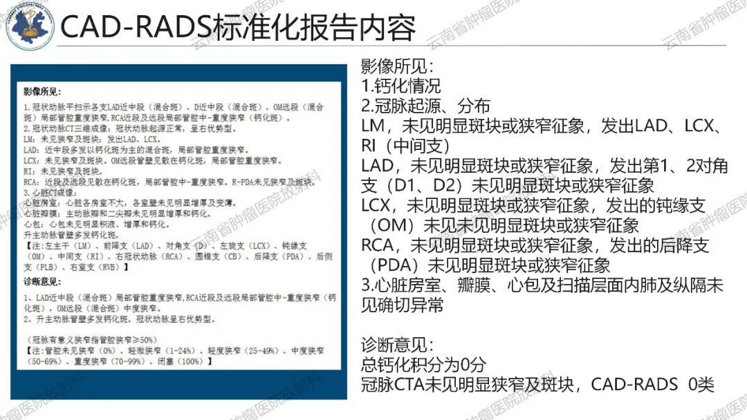 影像PPT - 【PPT】冠状动脉CTA报告规范化及后处理要求-37