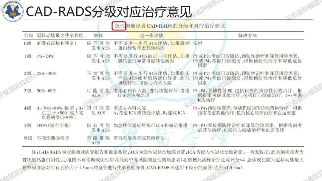 影像PPT - 【PPT】冠状动脉CTA报告规范化及后处理要求-39