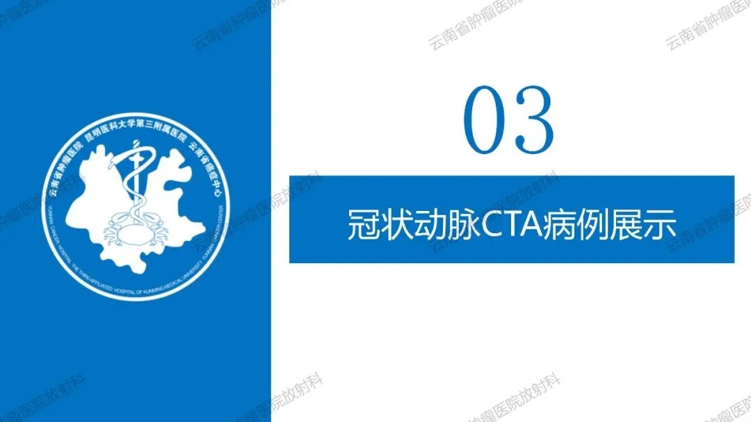 影像PPT - 【PPT】冠状动脉CTA报告规范化及后处理要求-41