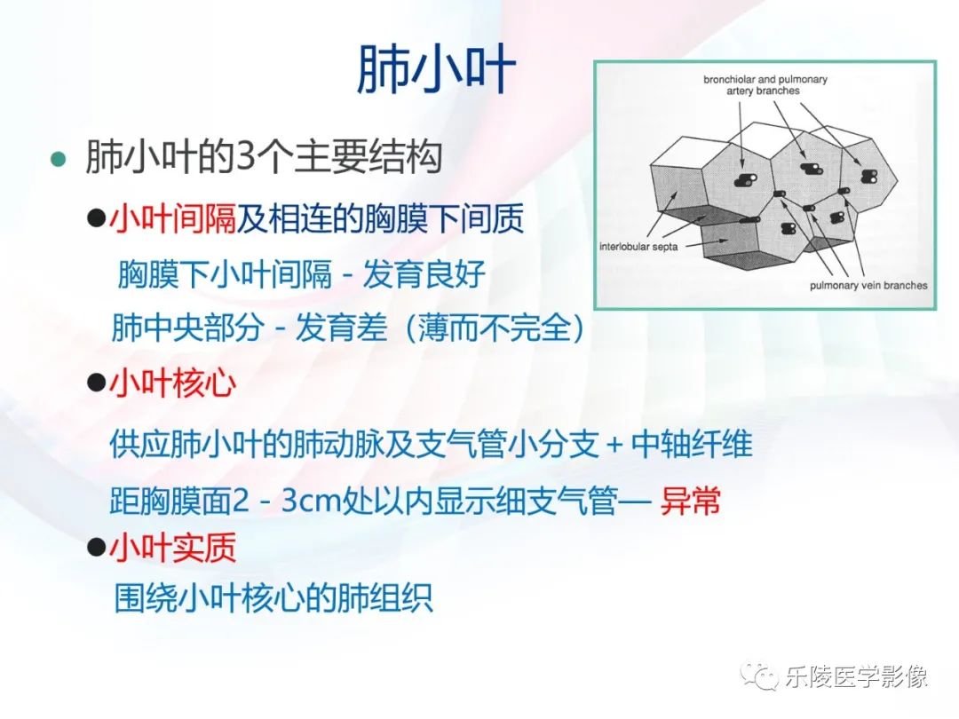 影像PPT - 【PPT】肺弥漫性病变HRCT表现-10
