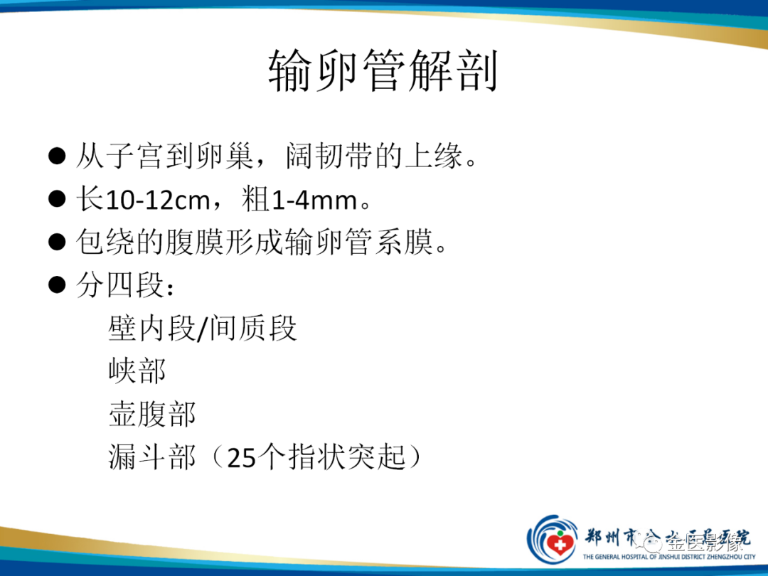 影像PPT - 【PPT】输卵管脓肿-12