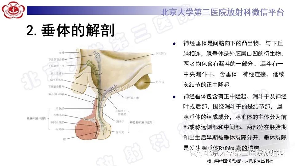 影像PPT - -14