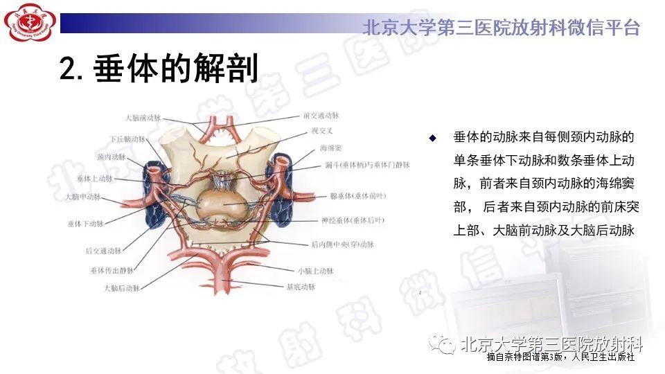 影像PPT - -15