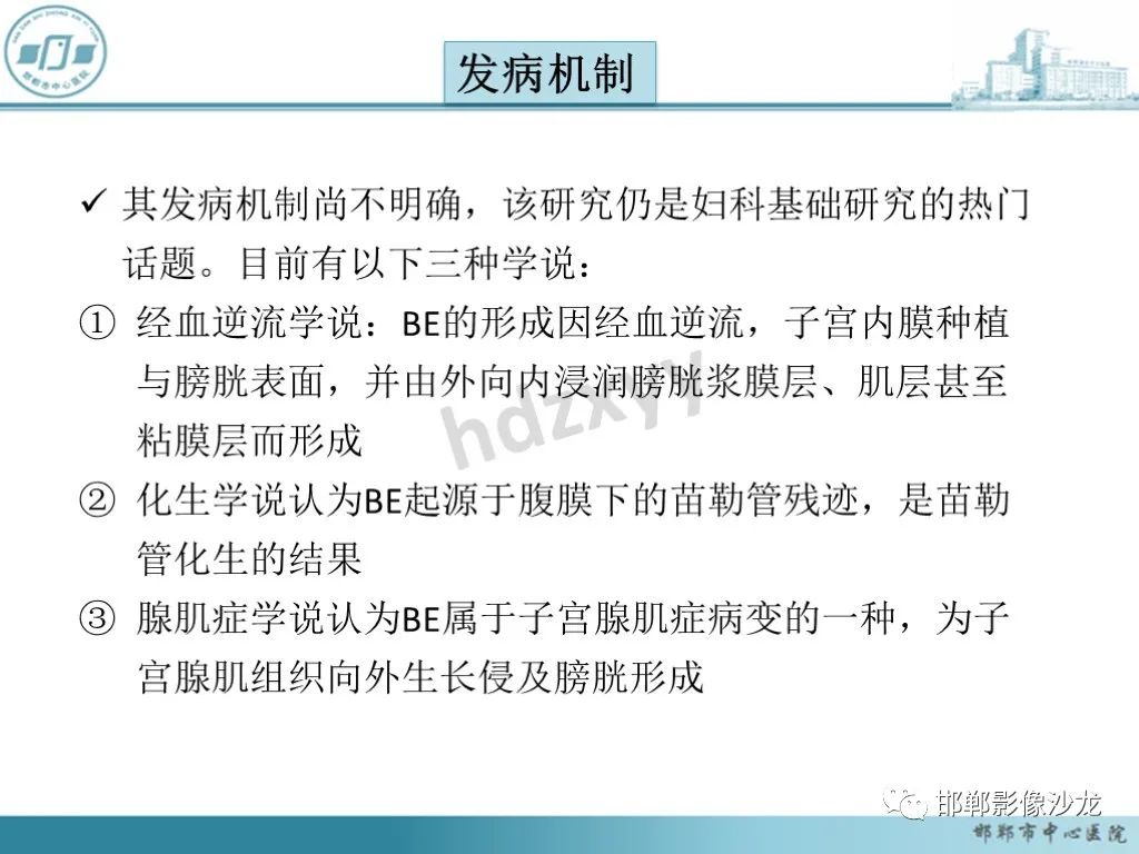 影像PPT - 【PPT】膀胱子宫内膜异位症-16 影像PPT - 【PPT】膀胱子宫内膜异位症-16