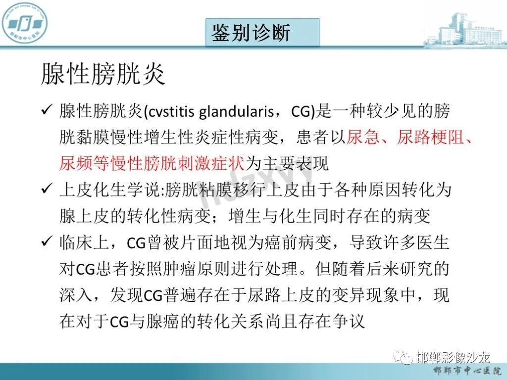 影像PPT - 【PPT】膀胱子宫内膜异位症-30 影像PPT - 【PPT】膀胱子宫内膜异位症-30