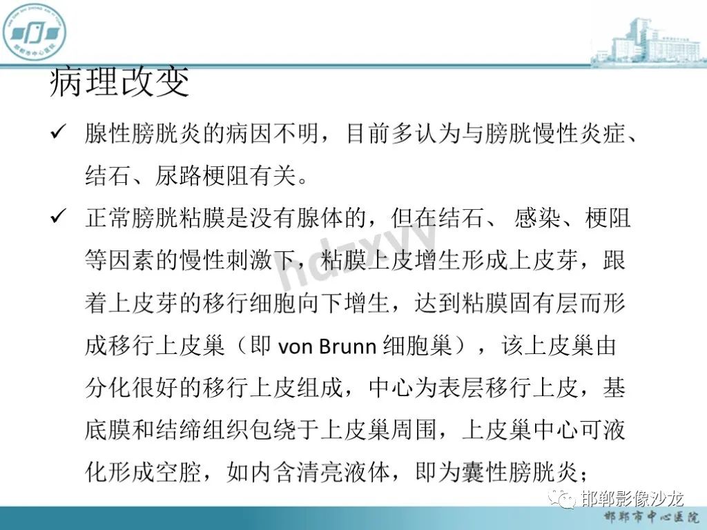 影像PPT - 【PPT】膀胱子宫内膜异位症-31 影像PPT - 【PPT】膀胱子宫内膜异位症-31