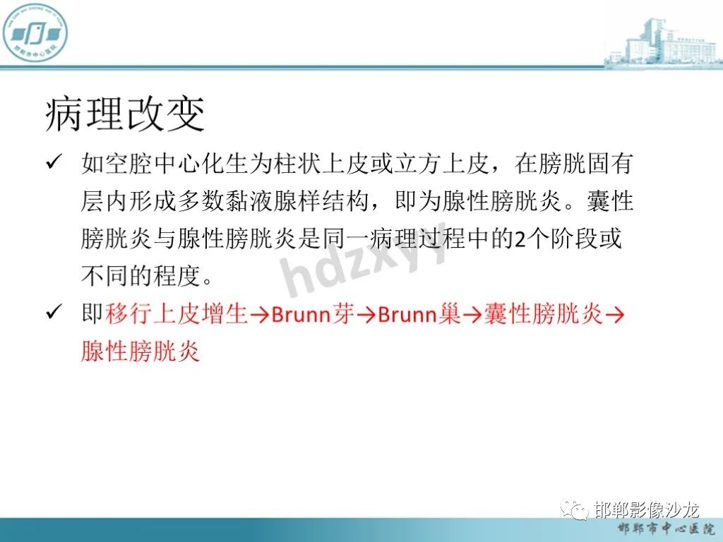 影像PPT - 【PPT】膀胱子宫内膜异位症-32 影像PPT - 【PPT】膀胱子宫内膜异位症-32
