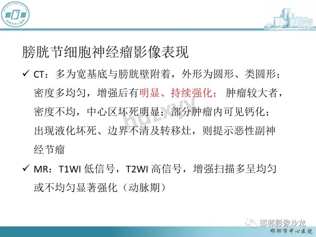 影像PPT - 【PPT】膀胱子宫内膜异位症-42 影像PPT - 【PPT】膀胱子宫内膜异位症-42