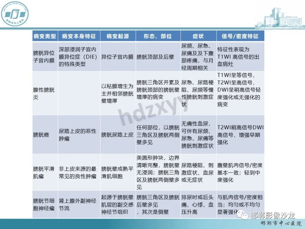 影像PPT - 【PPT】膀胱子宫内膜异位症-45 影像PPT - 【PPT】膀胱子宫内膜异位症-45