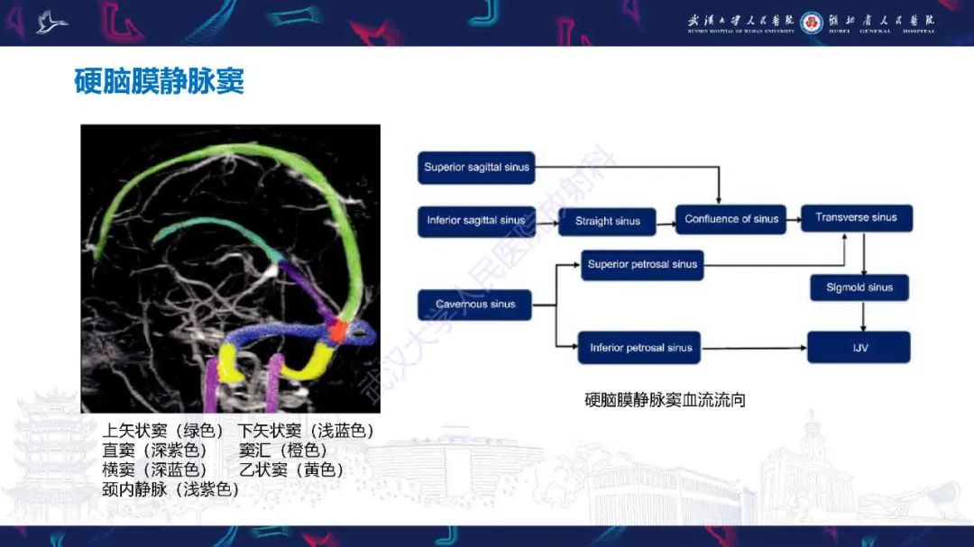 影像PPT - 【PPT】儿童脑静脉病变影像诊断-10