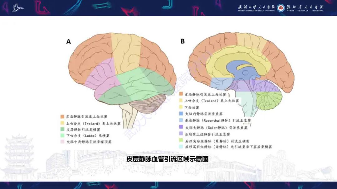 影像PPT - 【PPT】儿童脑静脉病变影像诊断-15