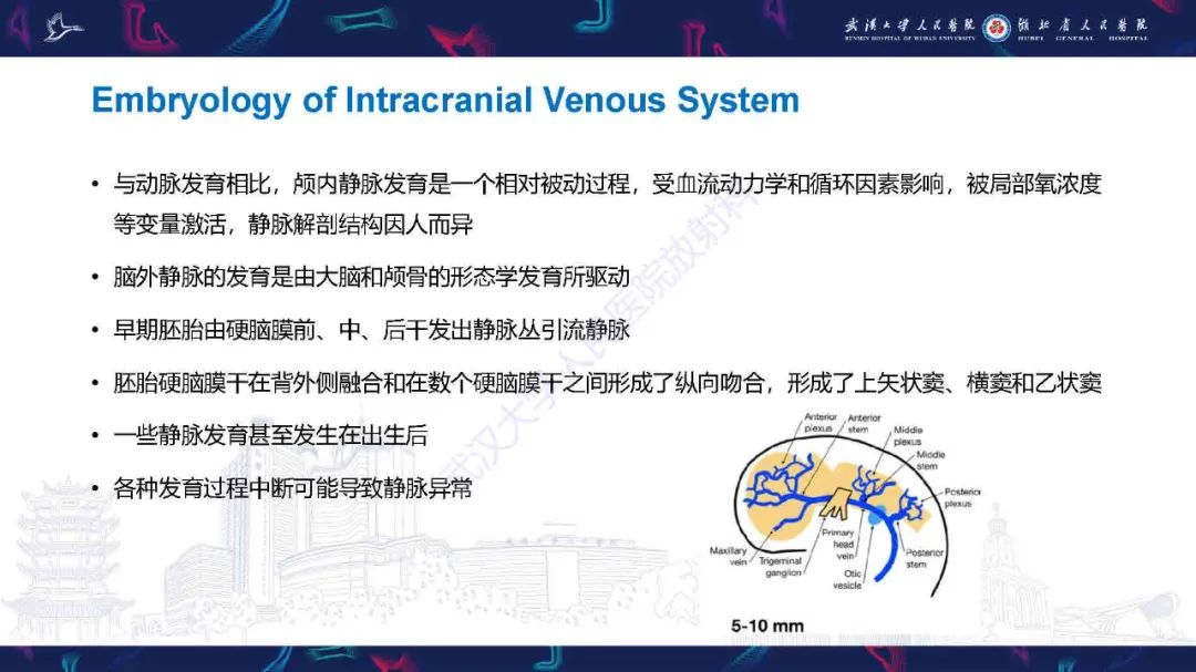 影像PPT - 【PPT】儿童脑静脉病变影像诊断-22