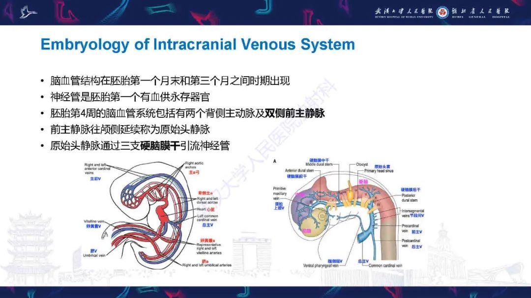 影像PPT - 【PPT】儿童脑静脉病变影像诊断-23
