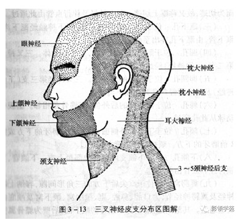 影像PPT - 三叉神经解剖及常见疾病MR表现-7