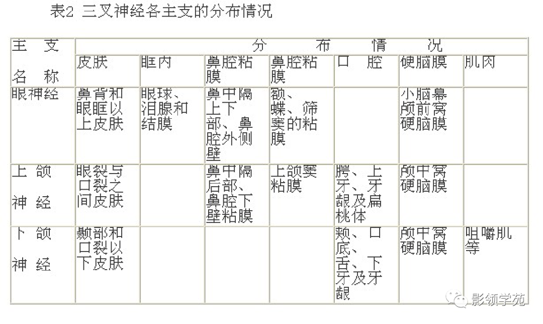 影像PPT - 三叉神经解剖及常见疾病MR表现-12