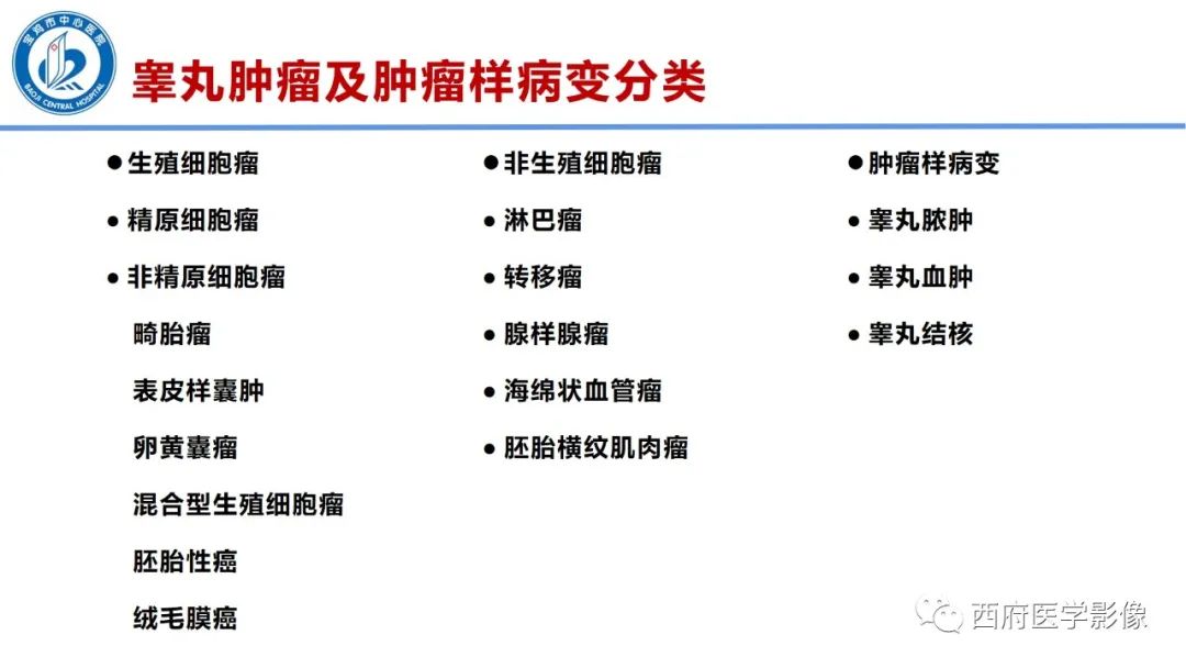 影像PPT - 【PPT】睾丸肿瘤及肿瘤样病变影像诊断与鉴别-9