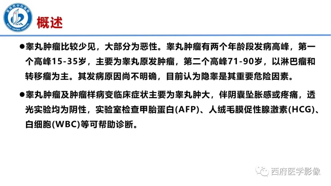 影像PPT - 【PPT】睾丸肿瘤及肿瘤样病变影像诊断与鉴别-10