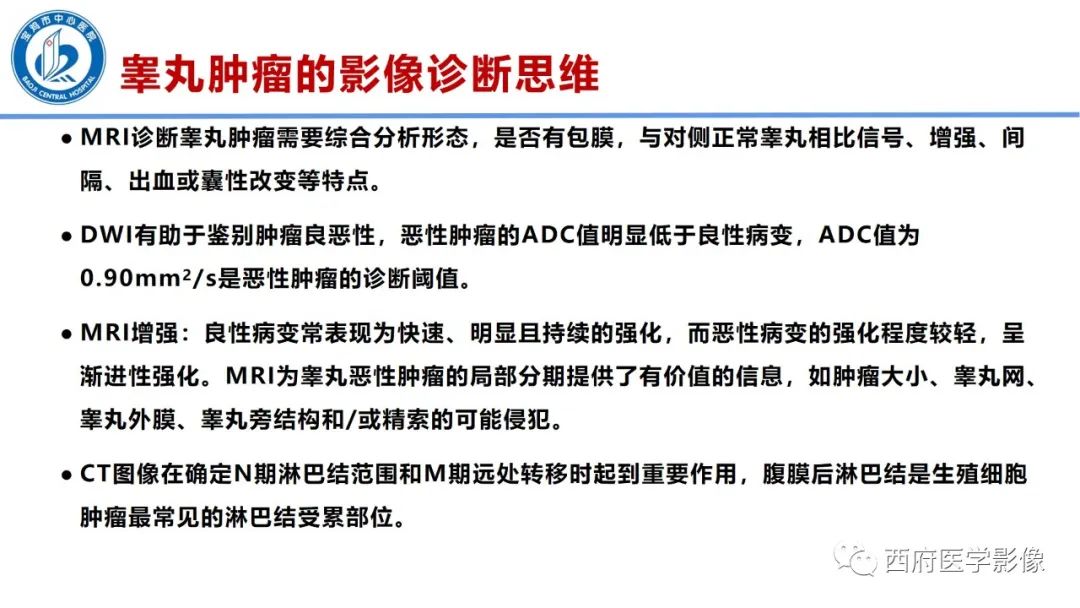 影像PPT - 【PPT】睾丸肿瘤及肿瘤样病变影像诊断与鉴别-11
