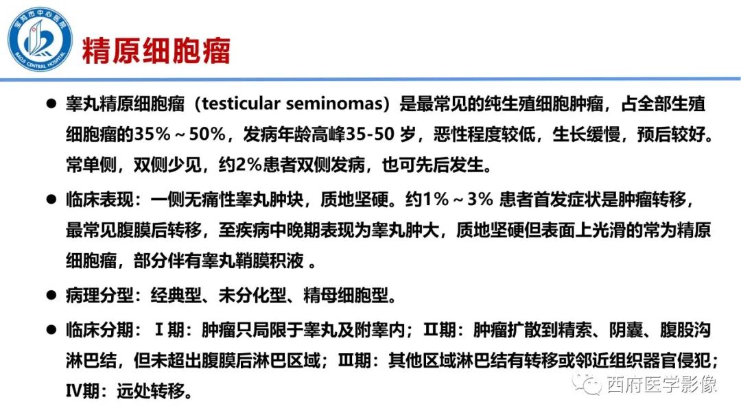 影像PPT - 【PPT】睾丸肿瘤及肿瘤样病变影像诊断与鉴别-12