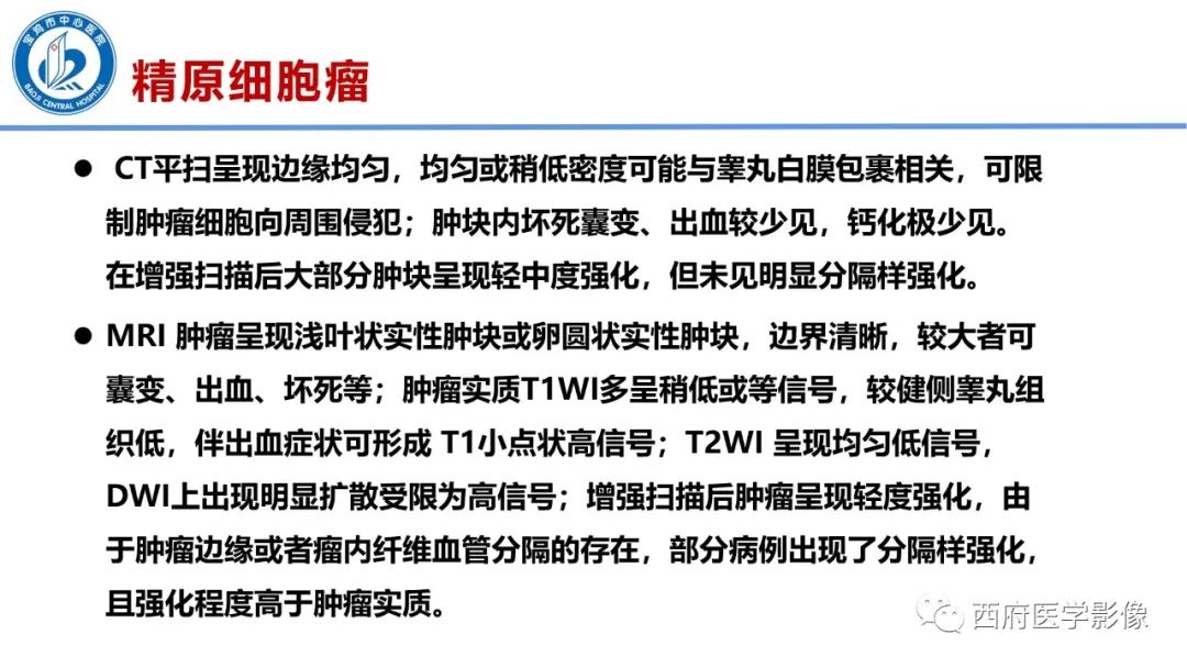 影像PPT - 【PPT】睾丸肿瘤及肿瘤样病变影像诊断与鉴别-13