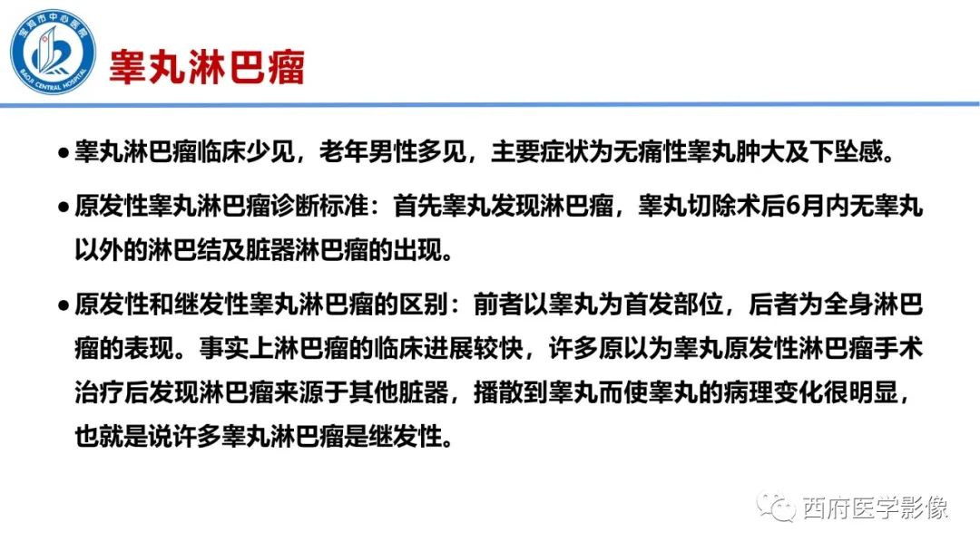 影像PPT - 【PPT】睾丸肿瘤及肿瘤样病变影像诊断与鉴别-23