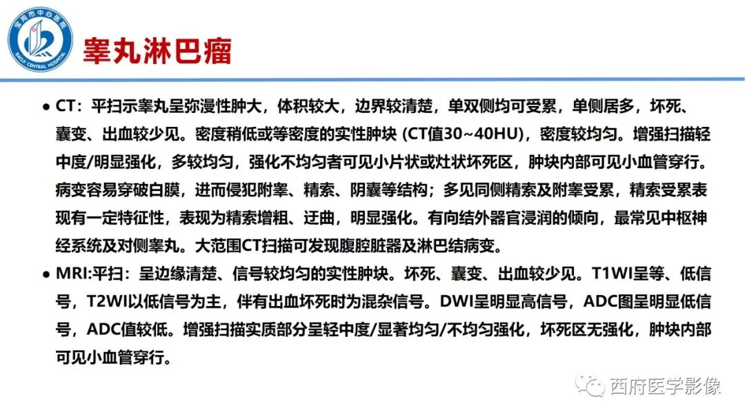 影像PPT - 【PPT】睾丸肿瘤及肿瘤样病变影像诊断与鉴别-24