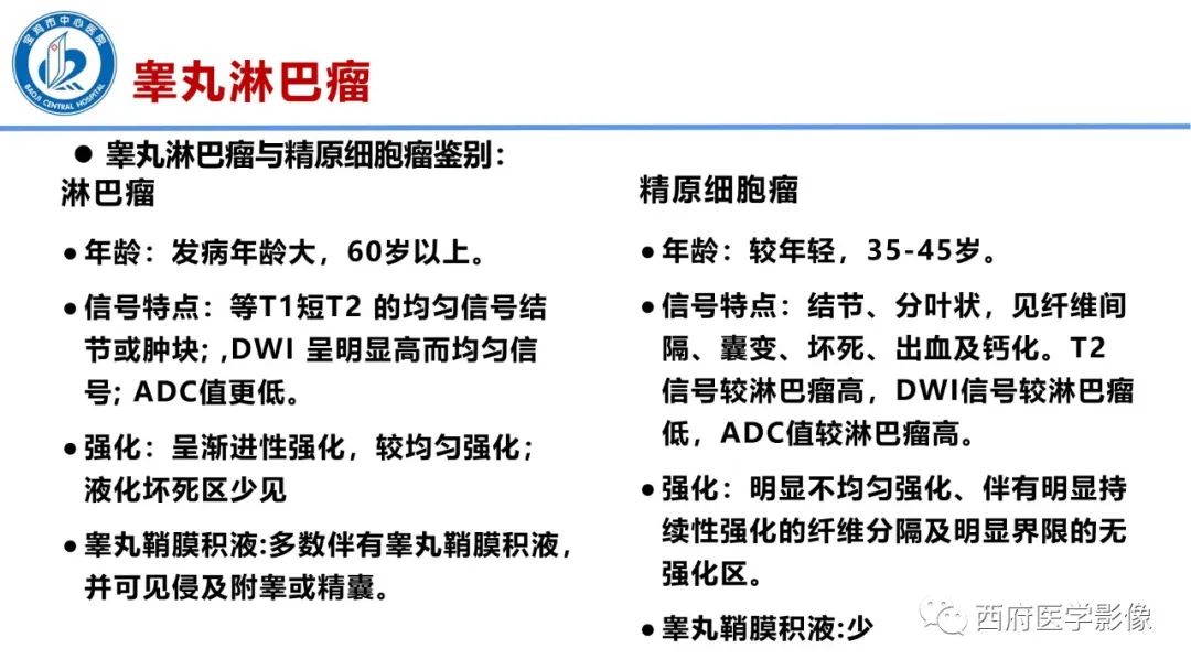 影像PPT - 【PPT】睾丸肿瘤及肿瘤样病变影像诊断与鉴别-25