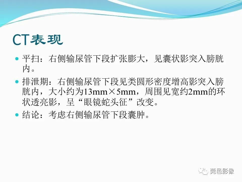 影像PPT - 【PPT】一例输尿管囊肿病例分享-11